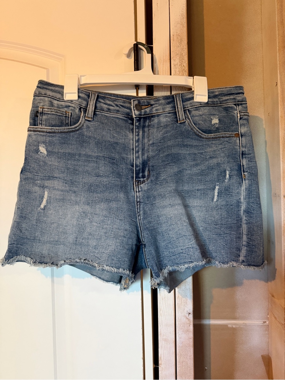 Judy Blue Jean Shorts Size Extra Large